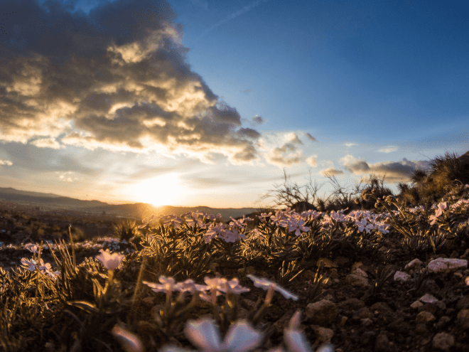 1A44B5E2-06E2-489F-9225-059E34F5F066