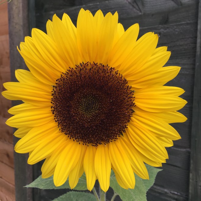 9023AC18-11C0-4579-B151-23E09BBBAFD1