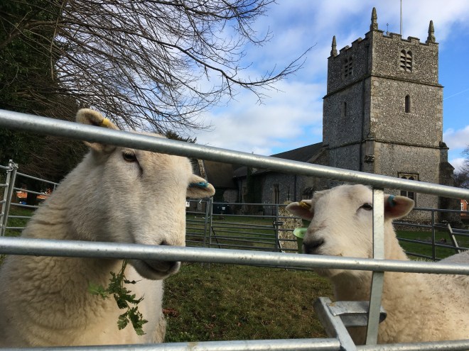 4FBCC980-2487-41F1-AC21-28432D90D105