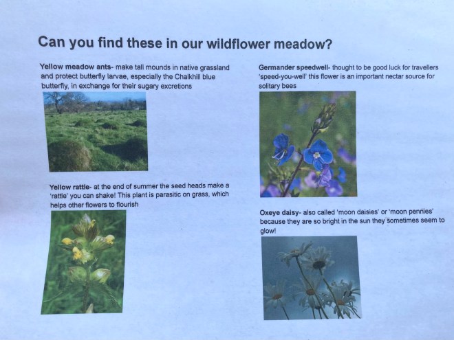 2F4A77F0-5F03-4E6D-92C1-4E5F0ED7EF55