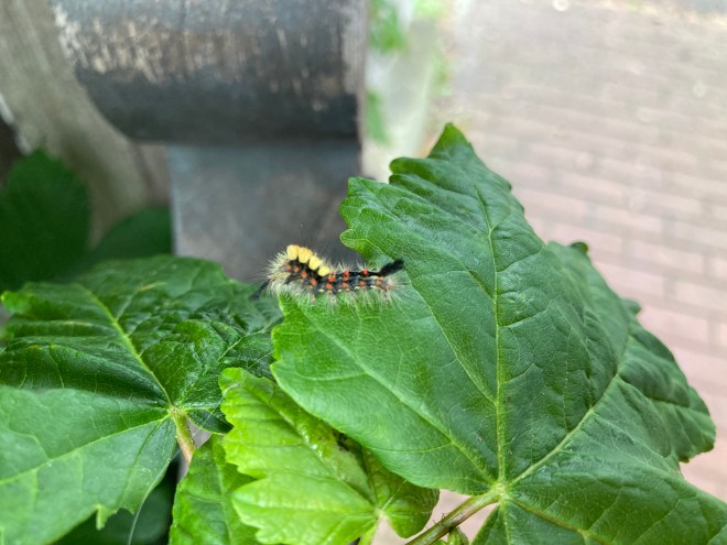 D045E123-D802-48B7-88BE-3AC4159E1028